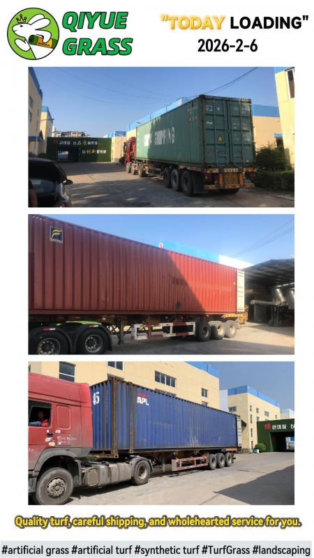 QIYUE GRASS 2026-02-06 Shipment to Brazil Container Loading
